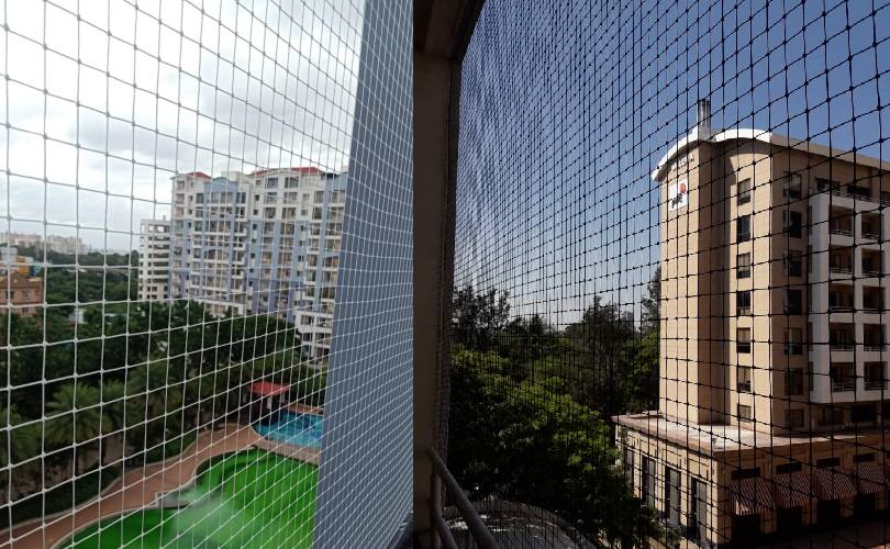 Bird Netting Service In Bhubaneswar