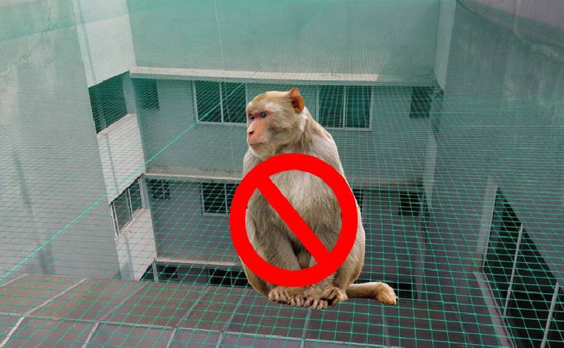 Monkey Safety Nets In Bhubaneswar