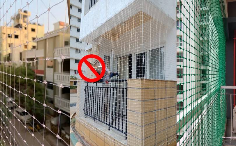 Pigeon Safety Nets In Bhubaneswar